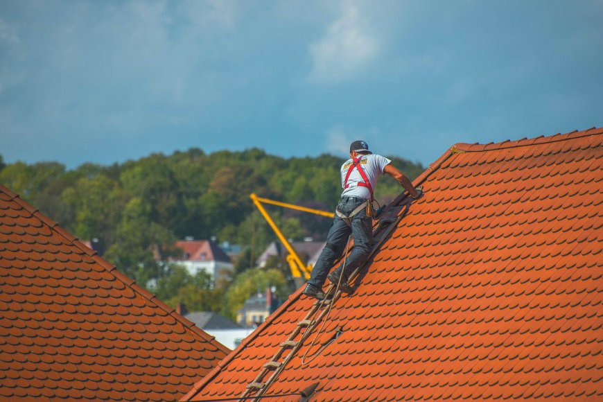 Elevate Your Roof's Longevity with Standard Roofing's Premier Roof Maintenance Services