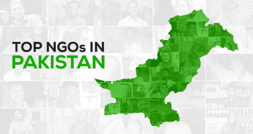Top 10 NGOs In Pakistan: Making a Difference in Society