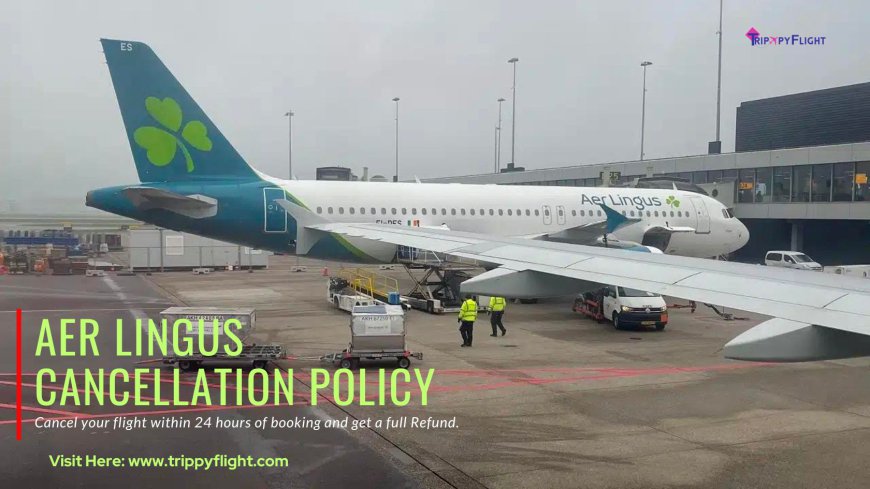 A Traveler's Guide to Aer Lingus Cancellations: Fees, Refunds, and Important Exceptions