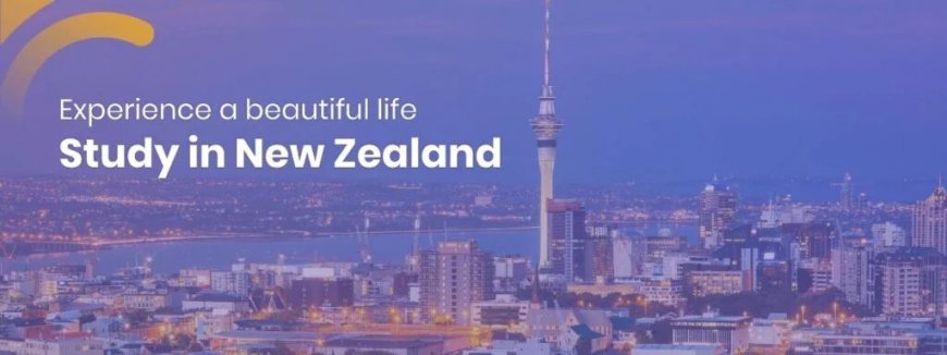 Top 10 Reasons to Study in New Zealand