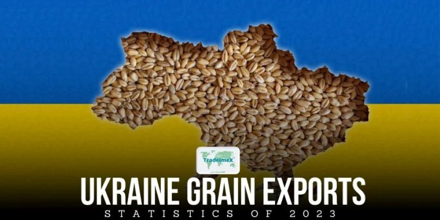 Best Grain Exporters from Ukraine