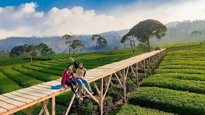 10 Tips Berwisata Hemat di Bogor