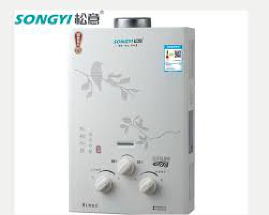 Enhance Your RV Comfort with Zhongshan Songyi's Gas Water Heater