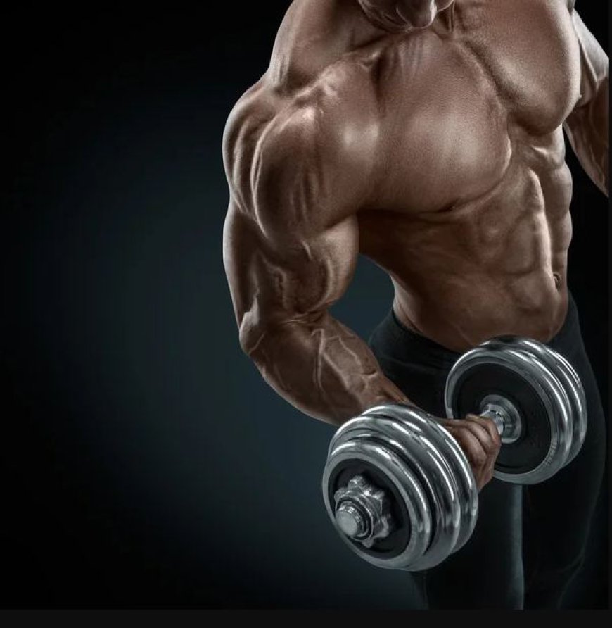 How to Maximize Muscle Growth with Effective Fitness Routines