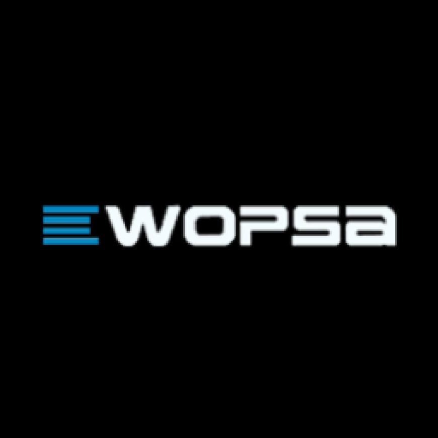 Explore The Top–Most Web Hosting Services in Sweden | Wopsa
