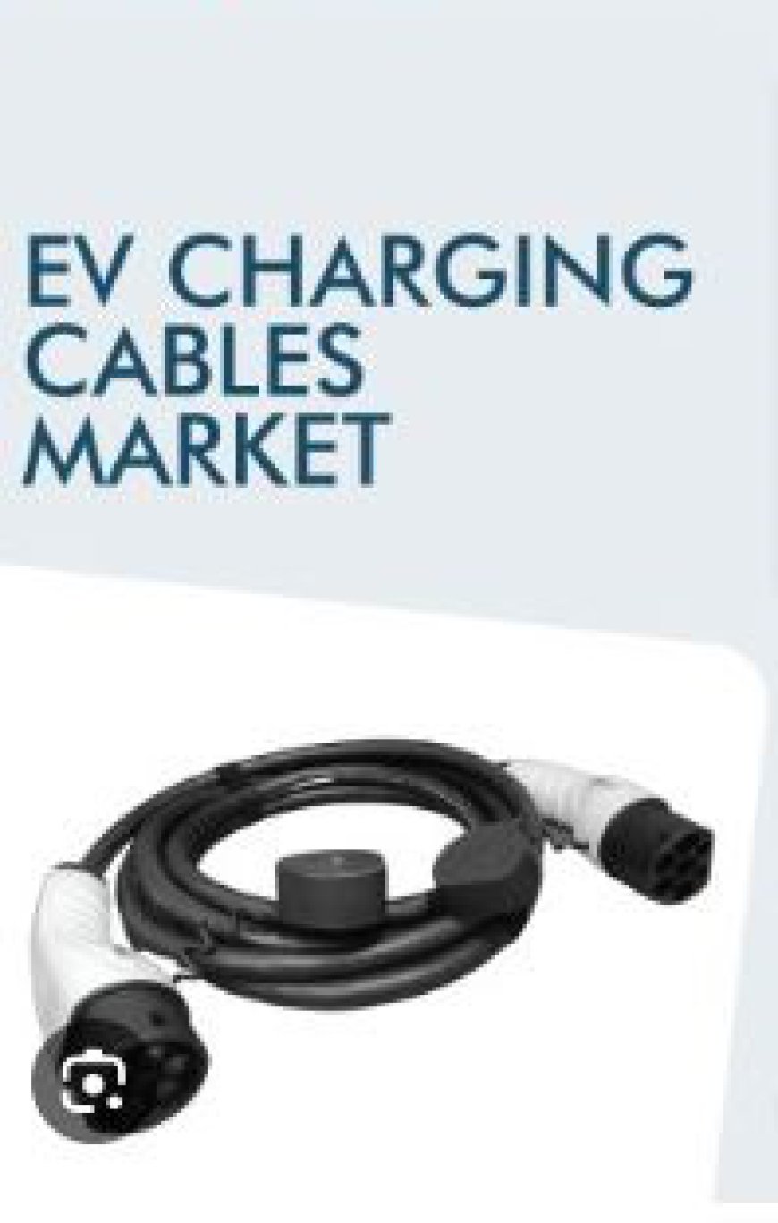 EV Charging Cables Market Tomorrow's Tapestry: Market Size, Share, and Emerging Technologies 2031