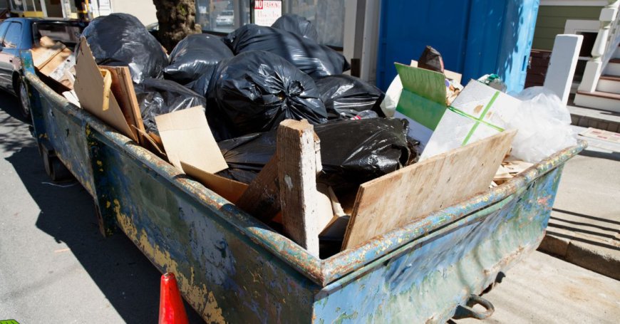 Where can I read reviews of dumpster rental services in Houston?
