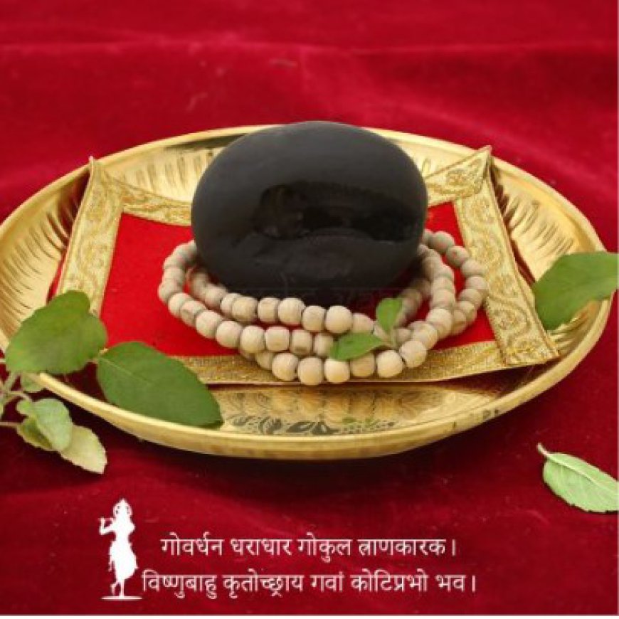 Exploring the exotic shaligram Shilas at Vedic Vaani