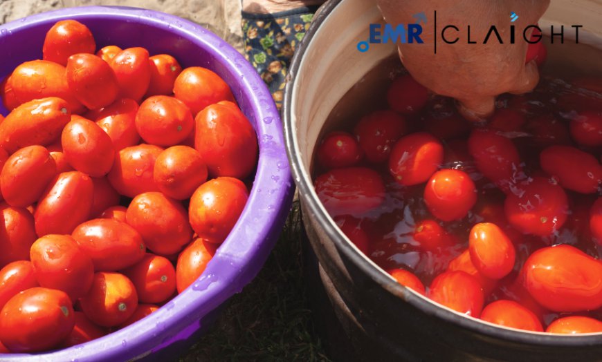 A Comprehensive Overview of the Global Tomato Processing Market: Trends, Growth, and Future Prospects