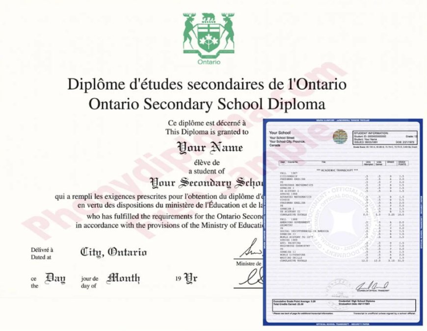 The Rising Appeal of Realistic Diplomas: A Practical Perspective