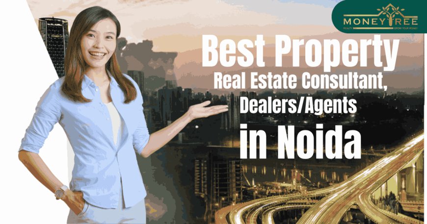 Real Estate Consultant