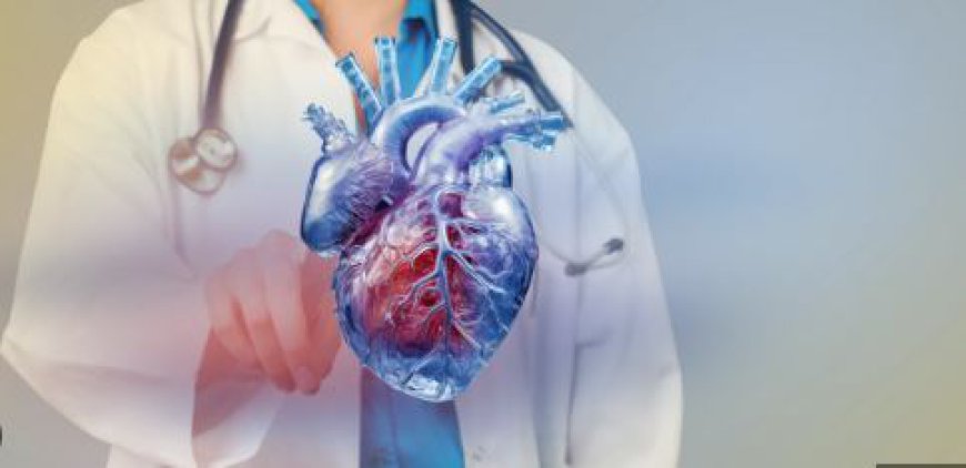 Cardiac Prosthetic Devices Market Demands, Growth Analysis, Industry Report 2024-2032