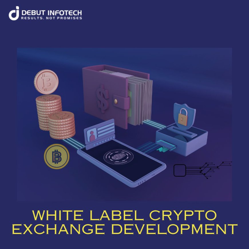 White Label Crypto Exchange Development: A Comprehensive Guide