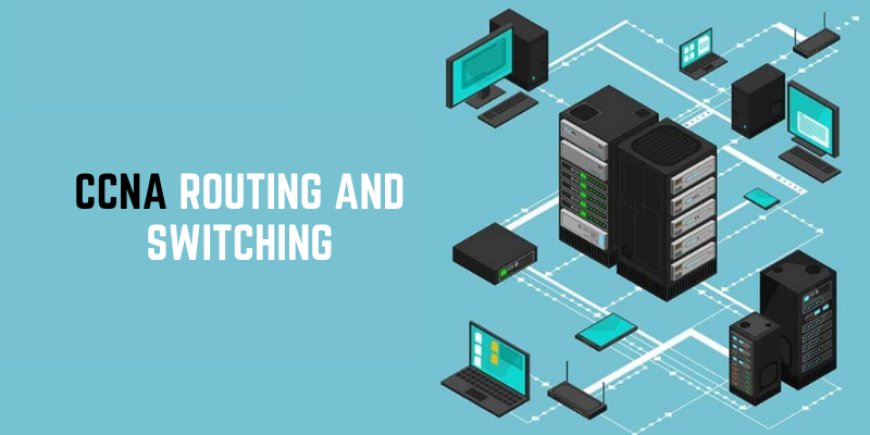 What are the Basics of CCNA Routing and Switching?