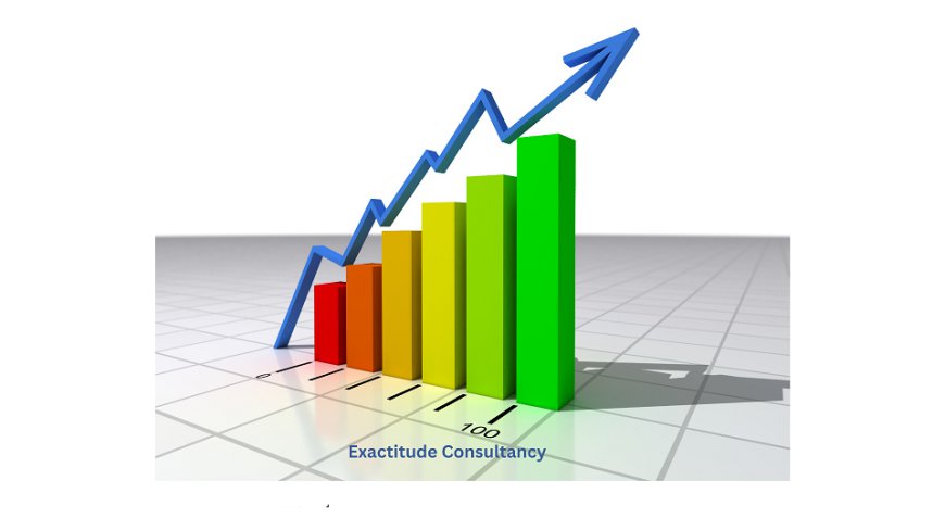 Humanoids Market Growth, Demand, Segments, and Forecast 2024-2030