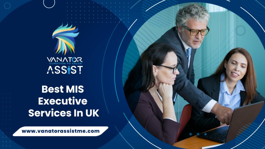 Best MIS Executive Services in UK