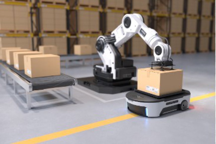 The Role of Robotics in Modern Material Handling Systems