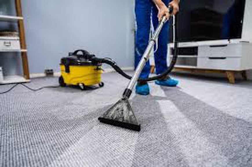 How Carpet Cleaning Services Can Improve Your Home’s Wellbeing