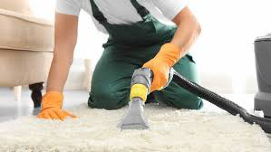 The Comfort Benefits of Professional Carpet Cleaning for Your Home