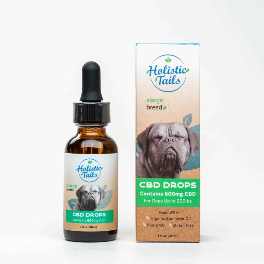 CBD Oil for Dogs with Separation Anxiety: Is It the Right Choice?