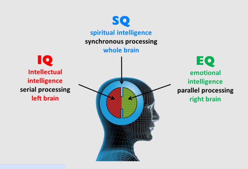 What is Emotional Quotient: Understanding the Importance of EQ