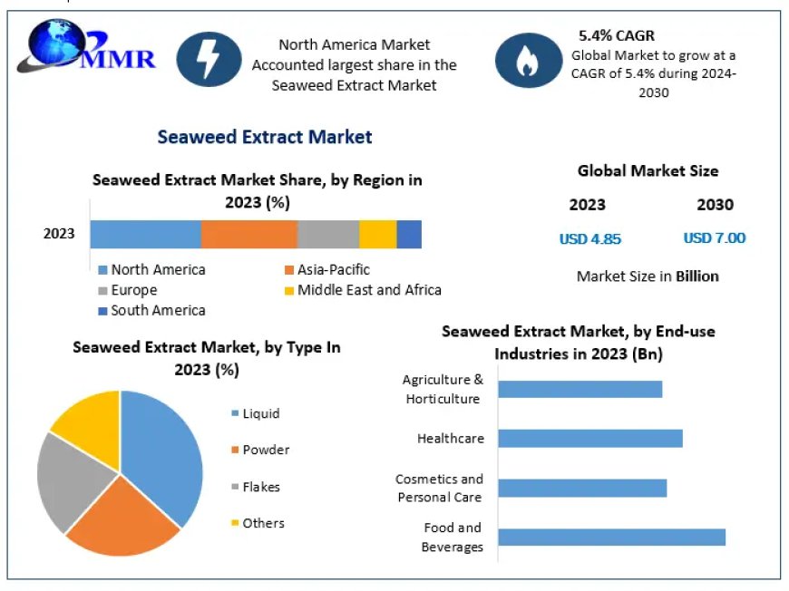 Seaweed Extract Market Share, Growth Forecast Global Industry Outlook 2024 – 2030