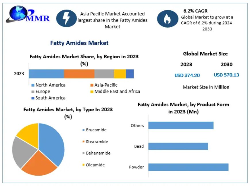 Fatty Amides Market Size, Growth Rate, Industry opportunities 2024-2030