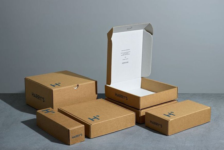 The Evolution of Cardboard Boxes: From Storage to Branding