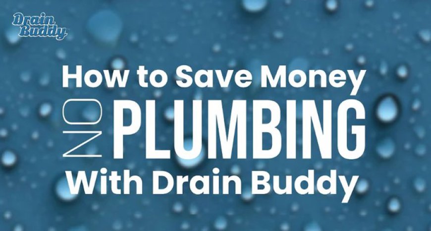 5 Reasons You Need Drain Strain for Your Home