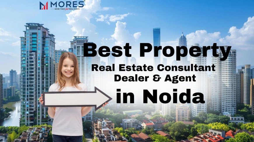 Top Real Estate Consultant and Property Advisor in India