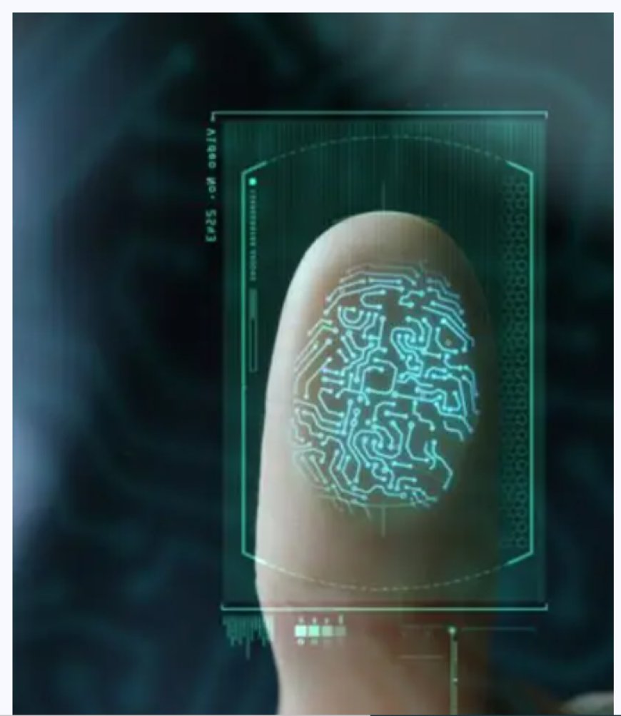 AML Verification and the Role of Online Fingerprint Scanners in Secure Transactions