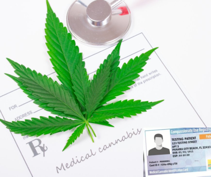 Why Should I Hire a Cannabis Doctor Near Me?