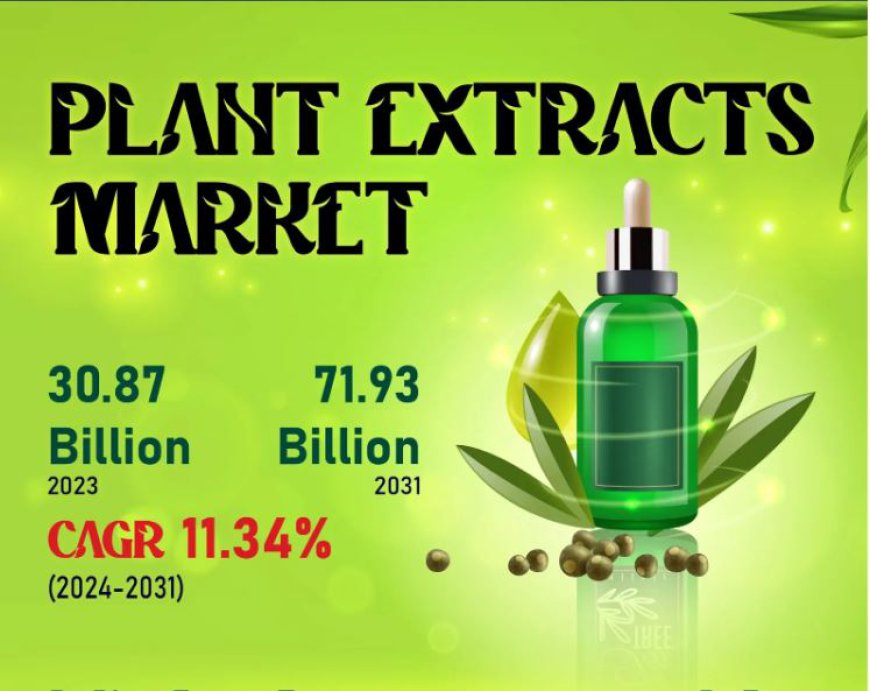 Plant Extracts Market Share to Surpass US$ 71.93 Billion Opportunity | ADM, Carbery, Esperis S.p.a.