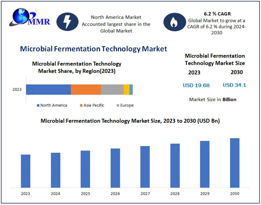 Microbial Fermentation Technology Market Top Key Players Update, Business Statistics and Research Methodology by Forecast to 2030