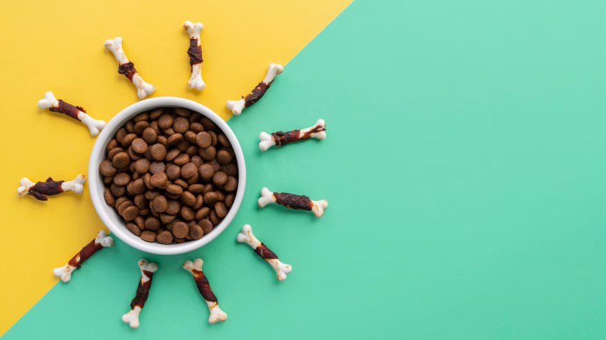 The Best Dog Food of 2024: A Comprehensive Guide for Pet Parents