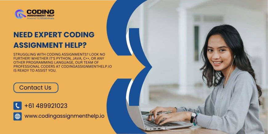 Top 3 Coding Assignment Services for Students