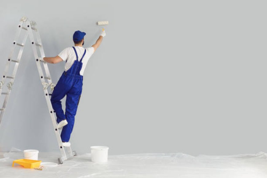 Transform Your Space with Expert Painting and Steam Cleaning Services