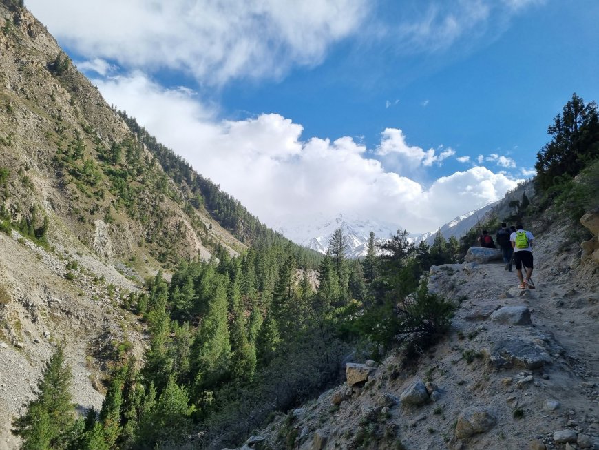 Fairy Meadows: A Celestial Adventure with Pakistan Tour and Travel