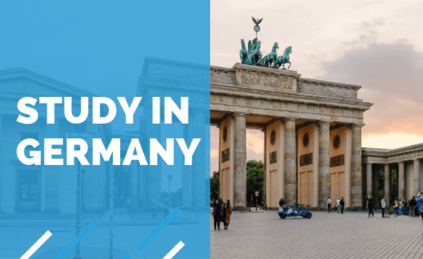 5 Reasons to Consult a German Study Abroad Expert