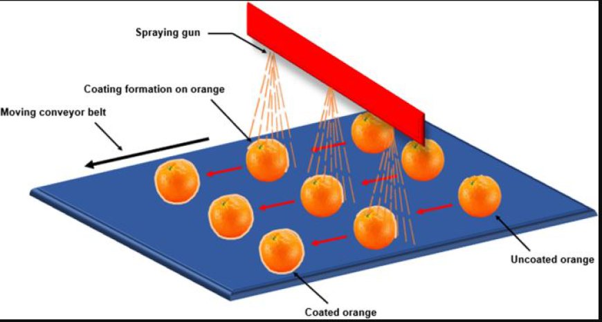 Edible Films and Coating Market is Expected To Grow at a CAGR of 7.18% by 2032