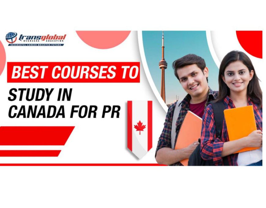 Which is the Best Program for PR in Canada?