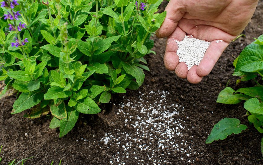 Guide to Setting Up a Fertilizer Manufacturing Plant