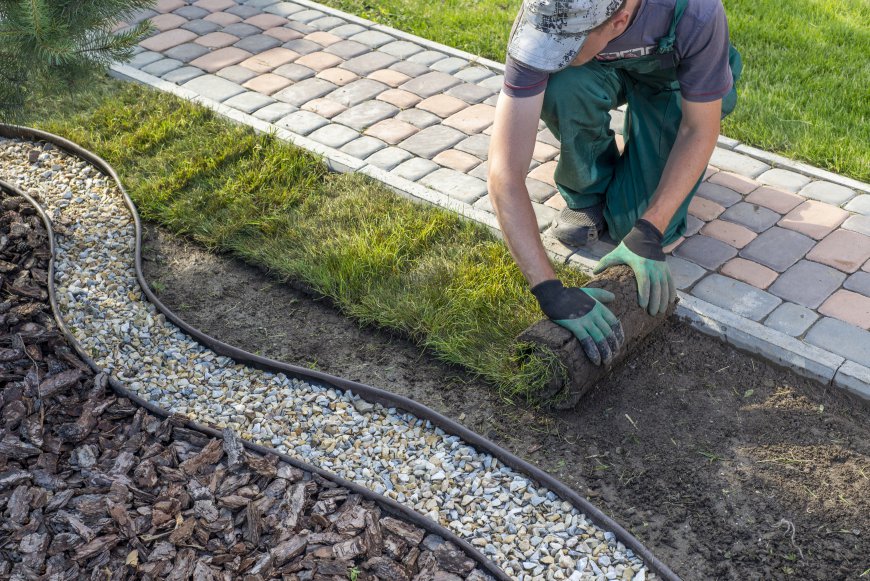 How to Find the Best Landscaping Services in Your Area