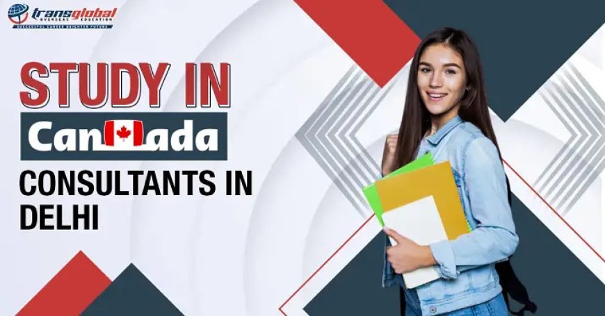 How to Choose the Best Canada Education Consultants?