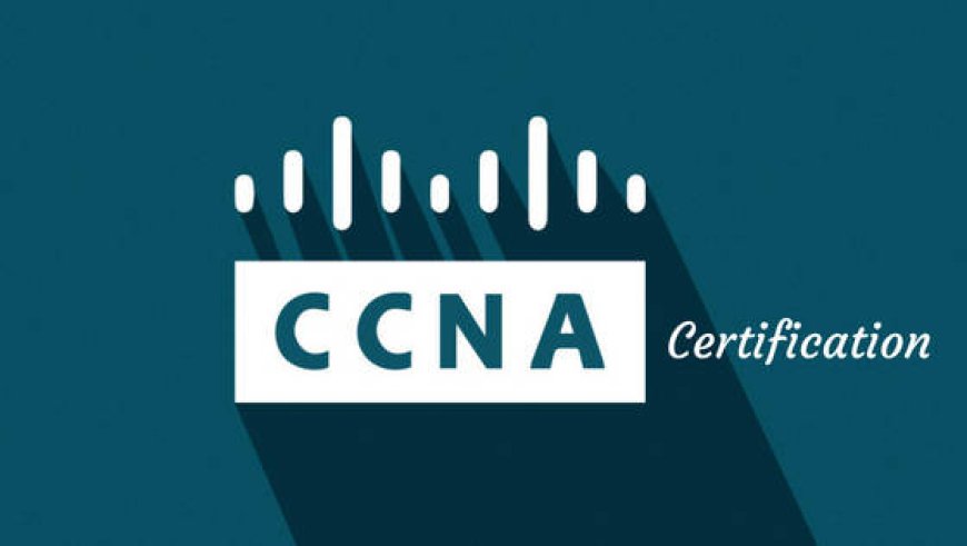 Online CCNA Training in Dubai: A Comprehensive Guide