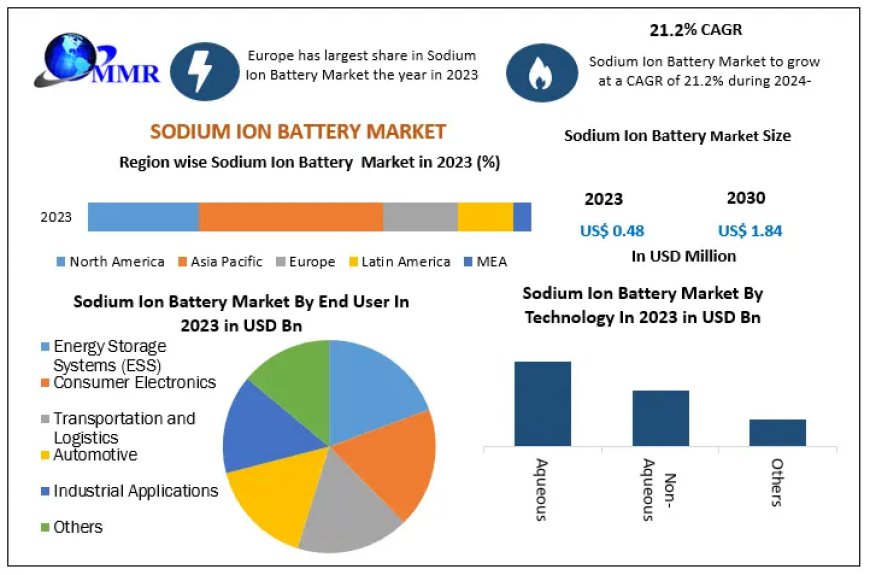 Sodium Ion Battery Market Recent Developments, Market Position, Product, Business Segments, and Forecast 2030