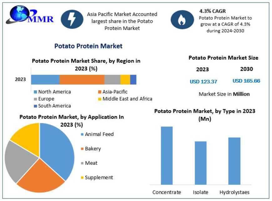 Potato Protein Market Future Scope Analysis with Size, Trend, Opportunities, Revenue and Forecast 2030