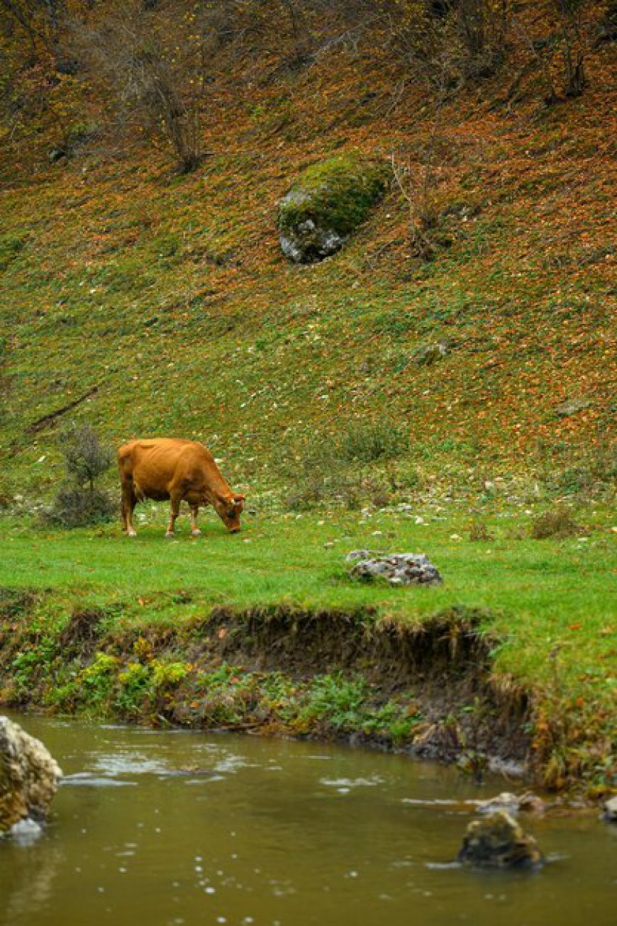 Top scenic spots in the Scottish Lowlands