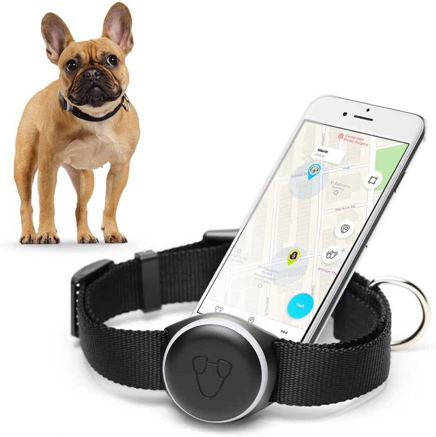 Smart Connected Pet Collar Market Analysis, Size, Share, Growth, Trends Forecasts 2023-2030