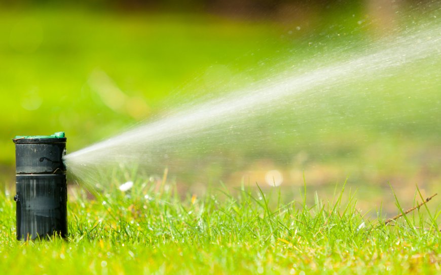 Sprinkler Repair: A Complete Guide to Fixing and Maintaining Your System